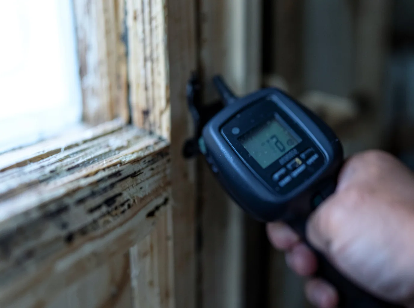 Moisture Inspection And Documentation in Conger, MN